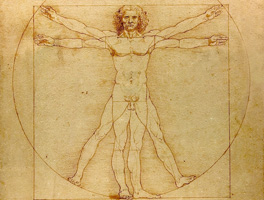 Vitruvian Man